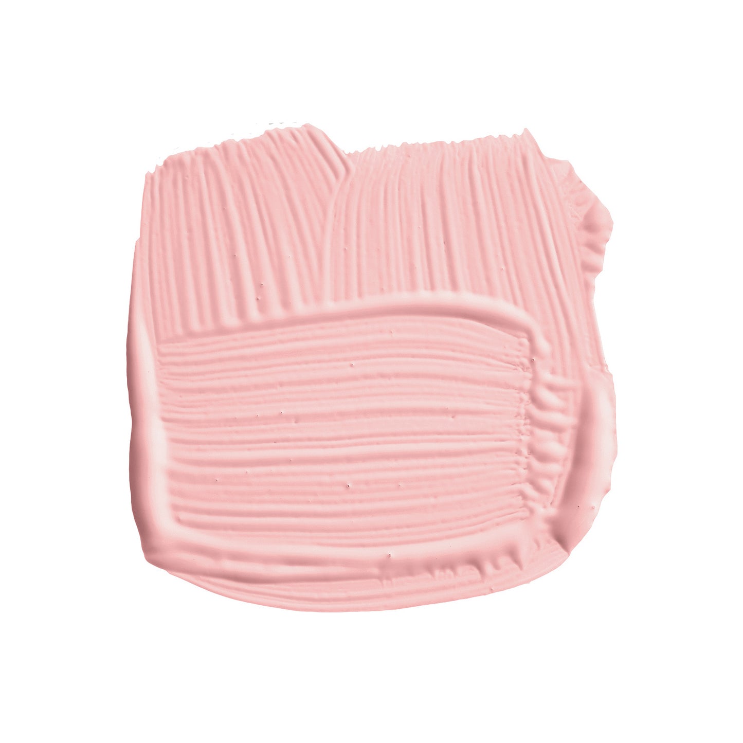 No. 278 Nancy's Blushes
