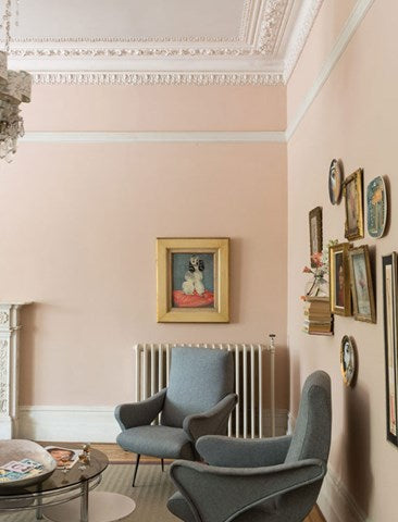 No. 231 Setting Plaster